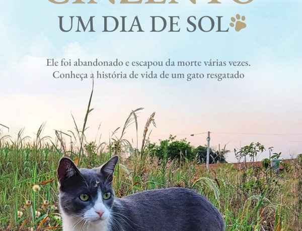 Cinzento, Um Dia de Sol, A História de Um Gato Abandonado, Mauro Pereira-Silva. Adquira pelo Whats 11 912915070