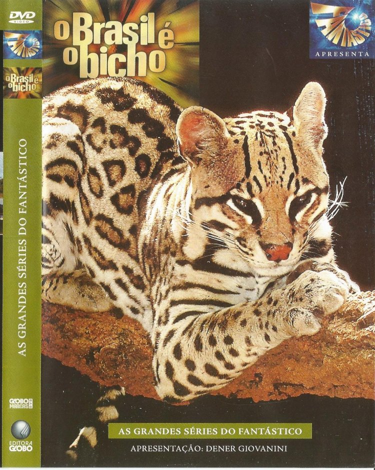 Compre aqui o Dvd O Brasil é o Bicho - As Grandes Séries do Fantástico