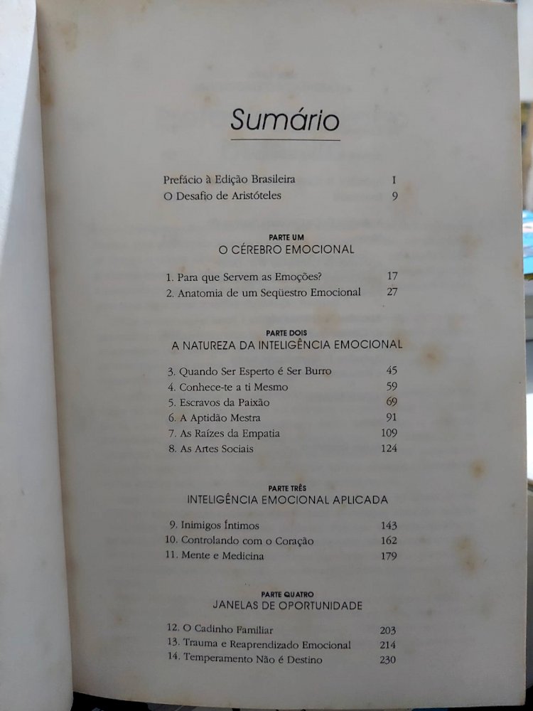 Inteligência Emocional. A Teoria Revolucionária que Redefine o que é Ser Inteligente, Daniel Goleman