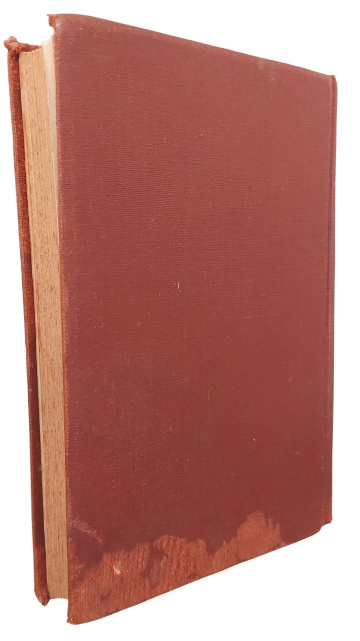 São Francisco de Assis, Johannes Joergensen, Versão de J. Soares D'Azevedo, Edição 1916